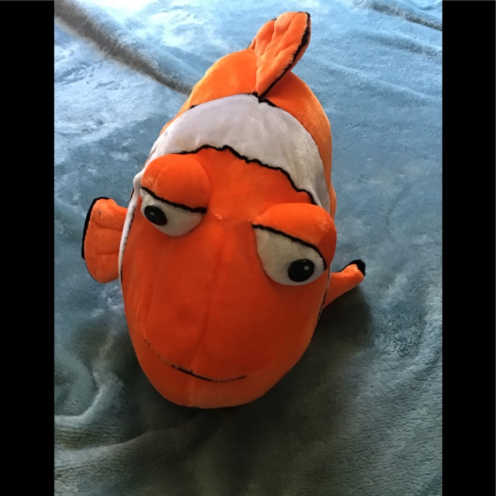 A cute little clown fish🐠